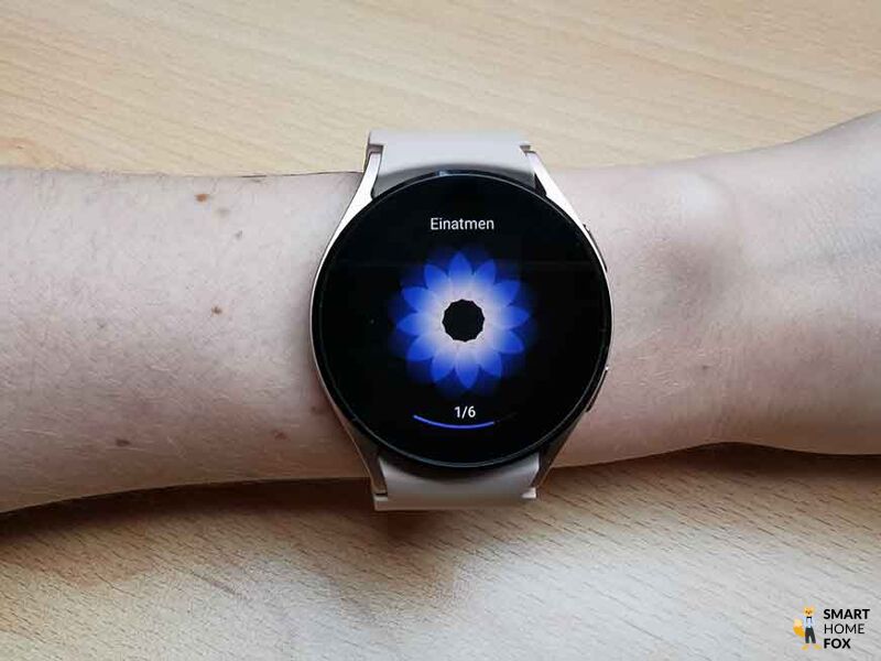 Man sieht die Atemübungen auf der Samsung Galaxy Watch 4.